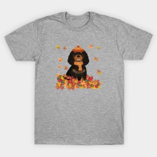 Black and Tan Cavalier in Fall Leave, Cavalier King Charles Spaniel T-Shirt